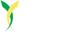 St Marylebone Teaching School Alliance logo